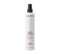 Spray Stabilisant - Selective Professional - Color Block - 275 Ml - Cheveux Colorés - Protection Ph