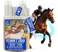 Sélénium Vitamine E Lysine Liqud + Pate pour Chevaux Maintenir Une Musculature Saine Cheval Vitamine E-Sélénium Lysine Amino Energy pour la Condition Physique Performances Musculaires Cheval 30ml 1L