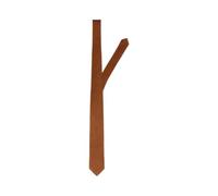 SELETED HOMME Slhotto Plain Tie Noos Cravate, Wood Thrush, Taille Unique