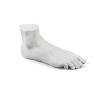 SELETTI élément décoratif MALE FOOT MEMORABILIA MVSEVM (Blanc - Porcelaine)