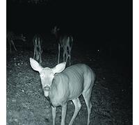 Self Defense Family - Power Does Not Work [Import]