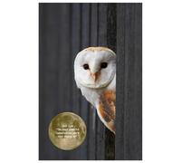 Self-Talk the most powerful conversation you will ever engage in: Journal