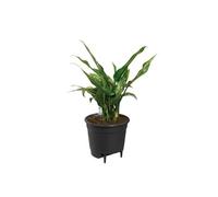 Self-watering Insert Pot a fleurs 44 - Noir - Ø 43 x H 39 cm - intérieuraccessoires - 100% recyclé