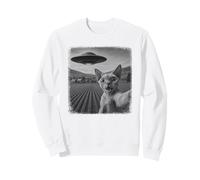 Selfie de Chat Devon Rex en détresse par Un OVNI avec Une Sweatshirt