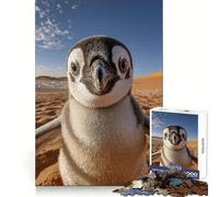 Selfie de Pingouin dans Le désert du Sahara Puzzle de 1000 pièces pour Adolescents Développement de la mémoire Conception Anti-Stress Cadeau touchant (38x52cm)