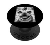Selfie d'un Bouledogue poursuivi par TreX avec Un Dinosaure PopSockets PopGrip Adhésif