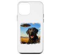 Selfie OVNI du Labrador Noir en détresse avec Un Humour Coque pour iPhone 12 Mini