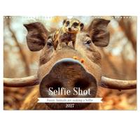 Selfie Shot (Wall Calendar 2027 DIN A3 landscape), CALVENDO 12 Month Wall Calendar: Funny Animals making a Selfie