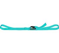SELM - 4545D - Sangle BAGAGERE LARG. 25MM 300KG sans Fin Lot DE 2 PCES Longueur (2.5M)