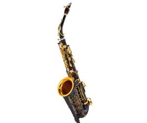 Selmer Selmer Supreme Alto Sax SE-ASUB