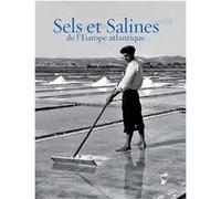 Sels et Salines de l'Europe atlantique Loïc Ménanteau (Auteur)