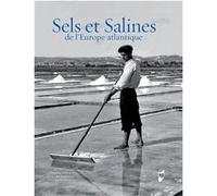 Sels et Salines de l'Europe atlantique Loïc Ménanteau (Auteur)