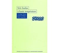 Sels fondus à haute température Véronique Ghetta (Auteur), Jacques Fouletier (Auteur), Pierre Taxil (Auteur)