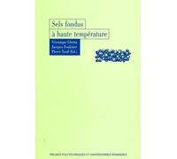 Sels fondus à haute température - Véronique Ghetta - Presses Polytechniques Romandes - broché - Guide