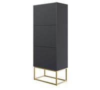 Selsey Meuble À Chaussures Entrée sur Pieds Dorés 3 Compartiments 125 x 50 cm Meuble De Rangement À Lamelles Noir Veldio