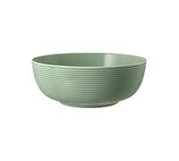 Seltmann Weiden Beat Saladier Foodbowl Bol à céréales Porcelaine Ø 20 cm