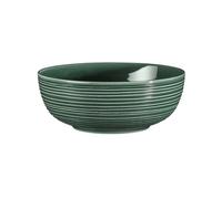 Seltmann Weiden Terra Vert mousse Foodbowls 20 cm