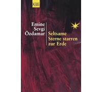 Seltsame Sterne starren zur Erde: Wedding- Pankow 1976/77. Die Istanbul-Berlin-Trilogie