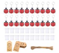 SELVFZ Lot de 20 porte-clés en forme de coccinelles - Multifonctions - Jolies décorations pour sacs, sacs à dos, projets d'artisanat de voiture, porte-clés colorés pour enfants