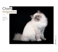 Semainier 2024 - Chats mignons