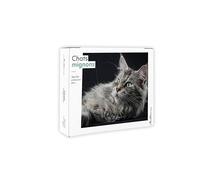 Semainier 2026 - Chats mignons