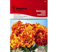 Semenarna Ljubljana Graines d’Œillet d’Inde (Bas) - Mélange - 2 g