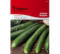 Semenarna Ljubljana Graines de Concombre "Gergana" - 1,50 g