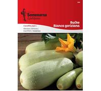 Semenarna Ljubljana Graines de Courgette "Bianca Goriziana" - 5 g
