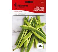 Semenarna Ljubljana Graines de Haricot Nain "Cocco Blanc Précoce" - 100 g