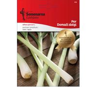 Semenarna Ljubljana Graines de Poireau "Heimischer Langer" - 2,50 g