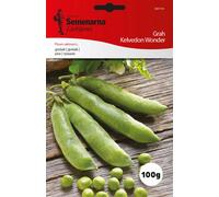 Semenarna Ljubljana Graines de Pois "Kelvedon Wonder" - 100 g