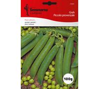 Semenarna Ljubljana Graines de Pois "Piccolo Provenzale" - 100 g