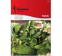 Semenarna Ljubljana Graines de Roquette - 10 g