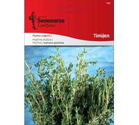 Semenarna Ljubljana Graines de Thym - 0,50 g