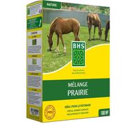 Semence de Gazon - BHS - Mélange Prairie 1kg | 100m² | Pour zones extensives et pâturage | Installation rapide, résistant