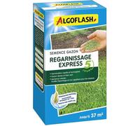 Semence Gazon Regarnissage Express 5 Jours - 800 G, Verte
