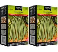 Semences Battle Graines de haricots 100g, vert (Lot de 2)