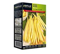 Semences Battle - Juive naine Ilerda Jaune 100g
