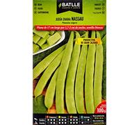 Semences Battle - Juive naine Nassau 100g