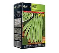 Semences Battle - Juive naine Nassau 1Kg