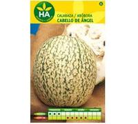 Semences citrouille cheveux angel sur