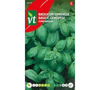 Semences de Basilic Genovese - Aromatique & Idéal pour Pesto Authentique