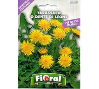Semences de plantes aromatiques et officinales en sachet pour jardinier amateur