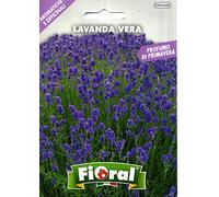 Semences de plantes aromatiques et officinales en sachet pour jardinier amateur