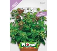 Semences de plantes aromatiques et officinales en sachet pour jardinier amateur