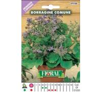 Semences de plantes aromatiques et officinales en sachet pour jardinier amateur