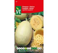 Semences de Potiron Vegetable Spaghetti - Cultivez Votre Propre Pasta Végétale