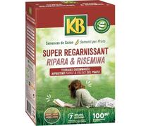 Semences Gazon KB KREGFAC100 - Super Regarnissant 2 kg - Pour terrains ombragés - Germination rapide 7 jours - Pour 100m²