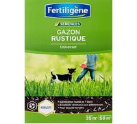 Semences Gazon Rustique Universel 875 g - Premières pousses en 1 semaine - Résiste aux piétinements - Pour tous types de terrains -