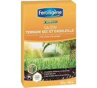 Semences Gazon Terrain Sec 875 g-Pour moins d'arrosages et un gazon plus vert-Excellence résistance à la sécheresse-Idéal terrains en plein soleil ou bord de mer-Pour 35 m²
